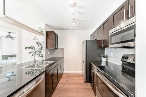 4213-1317 27 Street Se, Calgary, AB - Indoor Photo Showing Kitchen With Double Sink With Upgraded Kitchen