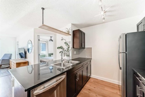 4213-1317 27 Street Se, Calgary, AB - Indoor Photo Showing Kitchen With Double Sink With Upgraded Kitchen