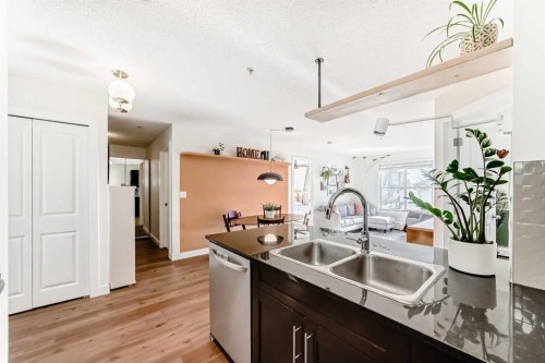 4213-1317 27 Street Se, Calgary, AB - Indoor Photo Showing Kitchen With Double Sink