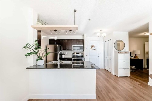 4213-1317 27 Street Se, Calgary, AB - Indoor Photo Showing Kitchen With Double Sink