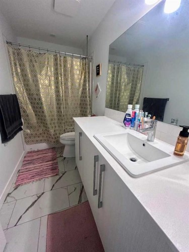 217 Dawson Way, Chestermere, AB - Indoor Photo Showing Bathroom