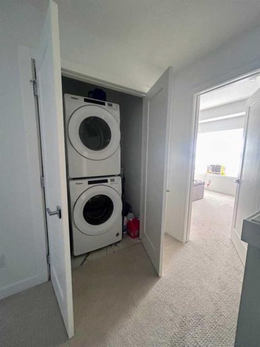 217 Dawson Way, Chestermere, AB - Indoor Photo Showing Laundry Room