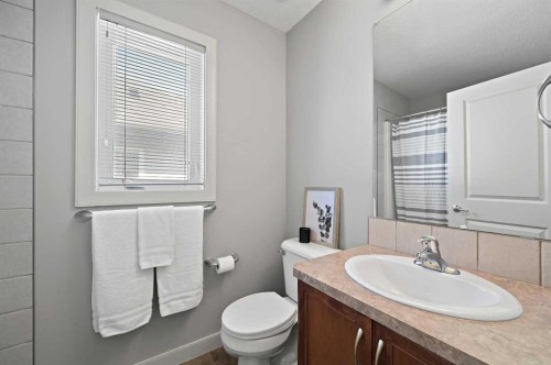 229 Bridlerange Place Sw, Calgary, AB - Indoor Photo Showing Bathroom