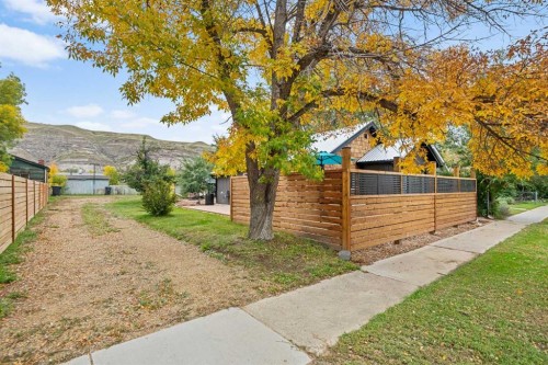 260 2 Avenue, Drumheller, AB - Outdoor