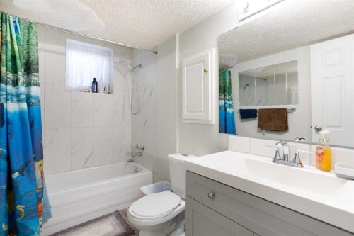 4004 79 Street Nw, Calgary, AB - Indoor Photo Showing Bathroom