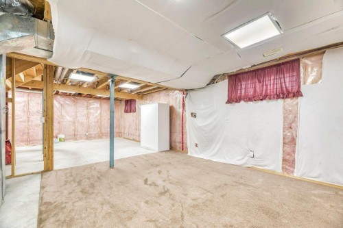 17 Taravista Way Ne, Calgary, AB - Indoor Photo Showing Basement