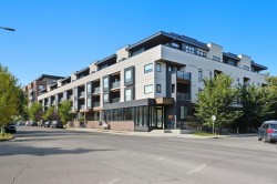 409-3375 15 Street SW Calgary, AB T2T 4A2