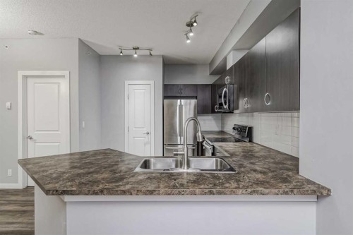 303-100 Cranfield Common Se, Calgary, AB - Indoor Photo Showing Kitchen With Double Sink With Upgraded Kitchen