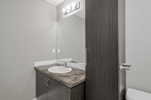 303-100 Cranfield Common Se, Calgary, AB - Indoor Photo Showing Bathroom