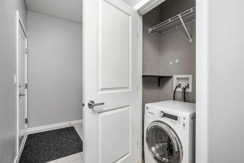 303-100 Cranfield Common Se, Calgary, AB - Indoor Photo Showing Laundry Room