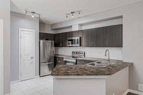 303-100 Cranfield Common Se, Calgary, AB - Indoor Photo Showing Kitchen With Double Sink With Upgraded Kitchen