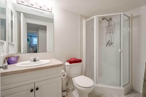 41 Everridge Court Sw, Calgary, AB - Indoor Photo Showing Bathroom