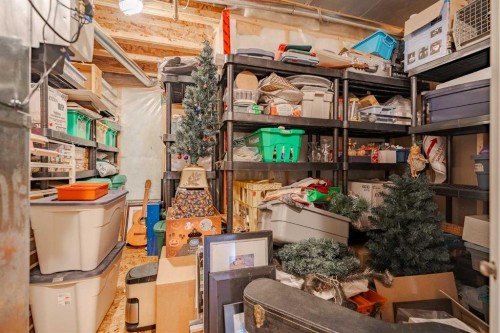 41 Everridge Court Sw, Calgary, AB - Indoor Photo Showing Basement