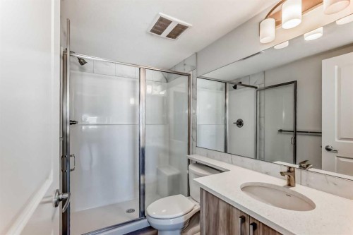 2425-6118 80 Avenue Ne, Calgary, AB - Indoor Photo Showing Bathroom