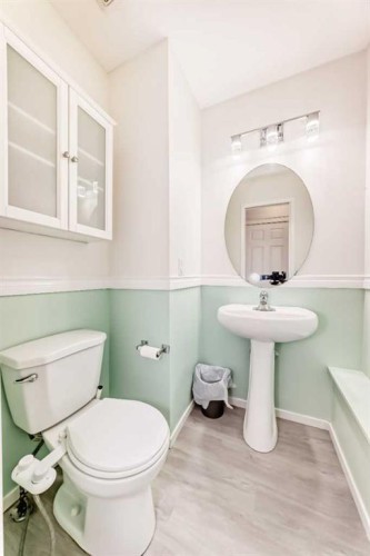 715 Copperfield Boulevard Se, Calgary, AB - Indoor Photo Showing Bathroom
