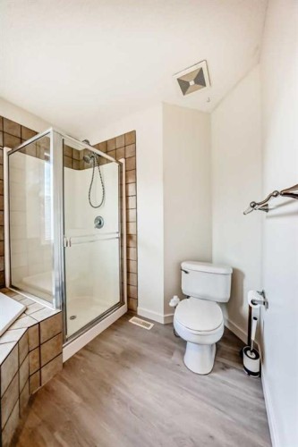 715 Copperfield Boulevard Se, Calgary, AB - Indoor Photo Showing Bathroom