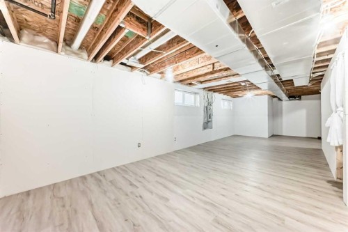 715 Copperfield Boulevard Se, Calgary, AB - Indoor Photo Showing Basement