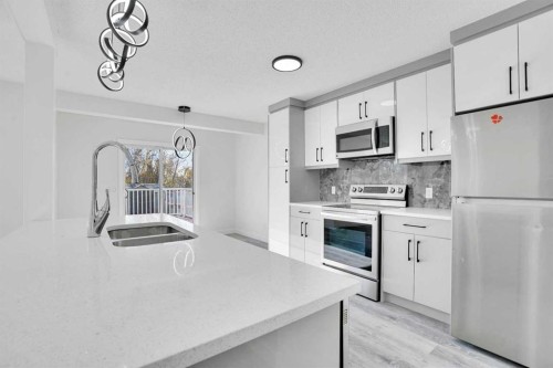 35 Taralea Place Ne, Calgary, AB - Indoor Photo Showing Kitchen With Double Sink
