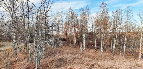 Rge Rd 32A, Rural Mountain View County, AB 