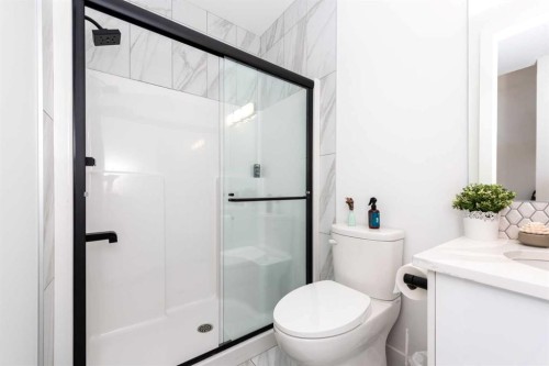 53 Hampstead Mews Nw, Calgary, AB - Indoor Photo Showing Bathroom