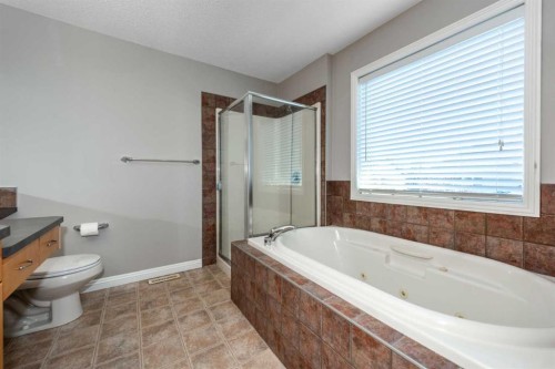 190 Everstone Drive Sw, Calgary, AB - Indoor Photo Showing Bathroom
