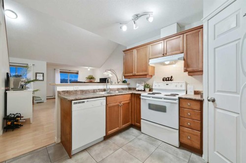 401-1110 17 Street Sw, Calgary, AB - Indoor Photo Showing Kitchen With Double Sink