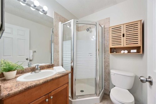 401-1110 17 Street Sw, Calgary, AB - Indoor Photo Showing Bathroom