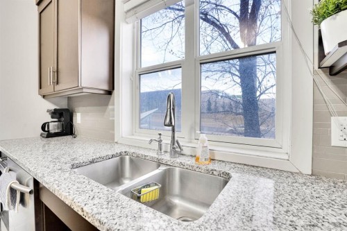 102-3 Taracove Estate Drive Ne, Calgary, AB - Indoor Photo Showing Kitchen With Double Sink