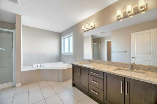 2450 Baysprings Link Sw, Airdrie, AB - Indoor Photo Showing Bathroom