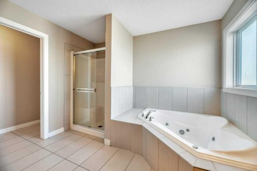 2450 Baysprings Link Sw, Airdrie, AB - Indoor Photo Showing Bathroom