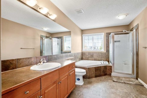 123 Cranwell Close Se, Calgary, AB - Indoor Photo Showing Bathroom
