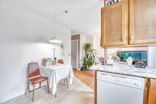 5 Falsby Place Ne, Calgary, AB - Indoor Photo Showing Kitchen