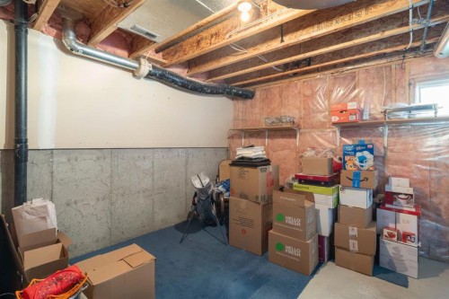 122 Bridlewood Lane Sw, Calgary, AB - Indoor Photo Showing Basement