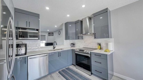 635 Taradale Drive Ne, Calgary, AB - Indoor Photo Showing Kitchen With Stainless Steel Kitchen With Upgraded Kitchen