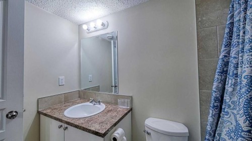 635 Taradale Drive Ne, Calgary, AB - Indoor Photo Showing Bathroom