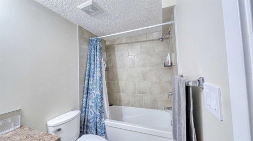 635 Taradale Drive Ne, Calgary, AB - Indoor Photo Showing Bathroom