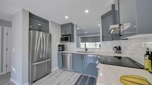 635 Taradale Drive Ne, Calgary, AB - Indoor Photo Showing Kitchen With Stainless Steel Kitchen With Double Sink With Upgraded Kitchen