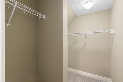 328 Silverado Plains Circle Sw, Calgary, AB - Indoor With Storage