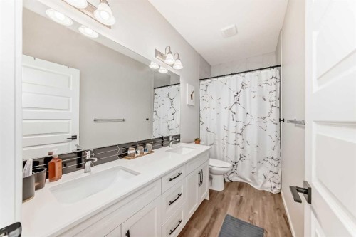 99 Cityline Point Ne, Calgary, AB - Indoor Photo Showing Bathroom