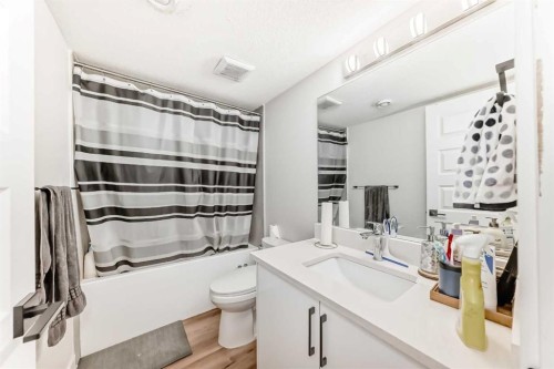 99 Cityline Point Ne, Calgary, AB - Indoor Photo Showing Bathroom