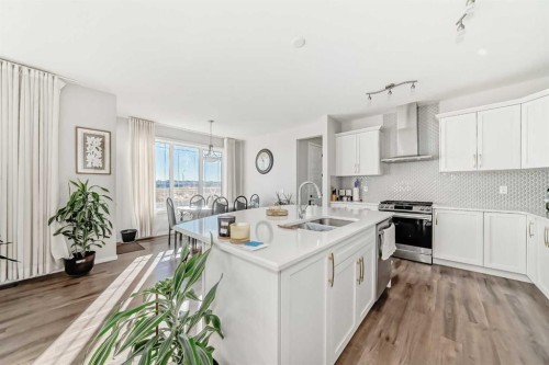 99 Cityline Point Ne, Calgary, AB - Indoor Photo Showing Kitchen With Double Sink With Upgraded Kitchen