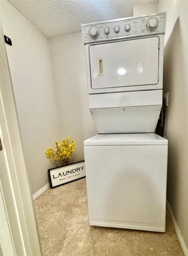 116-369 Rocky Vista Park Nw, Calgary, AB - Indoor Photo Showing Laundry Room