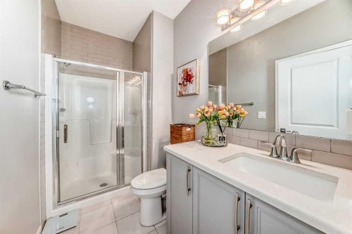 113 Howse Mount Ne, Calgary, AB - Indoor Photo Showing Bathroom
