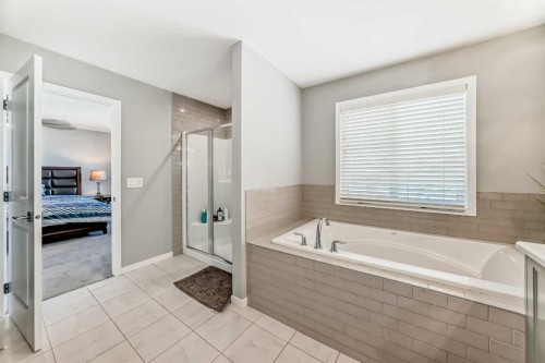 113 Howse Mount Ne, Calgary, AB - Indoor Photo Showing Bathroom