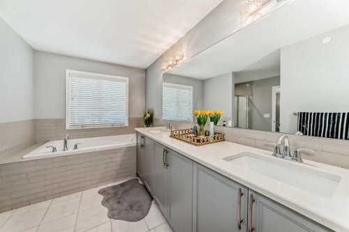 113 Howse Mount Ne, Calgary, AB - Indoor Photo Showing Bathroom