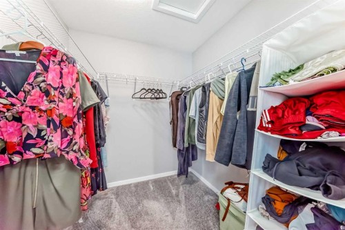 113 Howse Mount Ne, Calgary, AB - Indoor With Storage