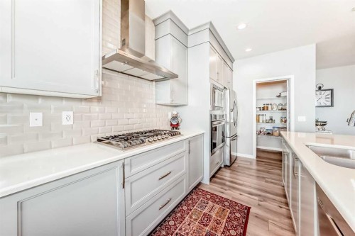113 Howse Mount Ne, Calgary, AB - Indoor Photo Showing Kitchen With Double Sink With Upgraded Kitchen