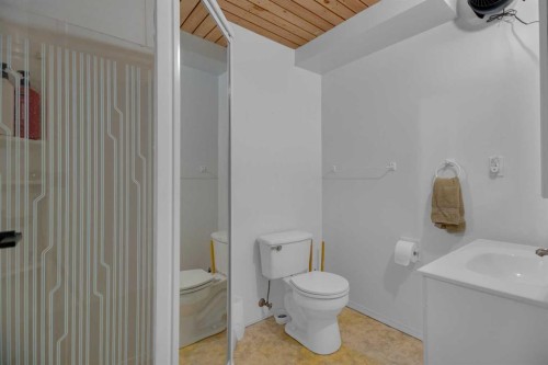 2-717 Centre Street, Vulcan, AB - Indoor Photo Showing Bathroom
