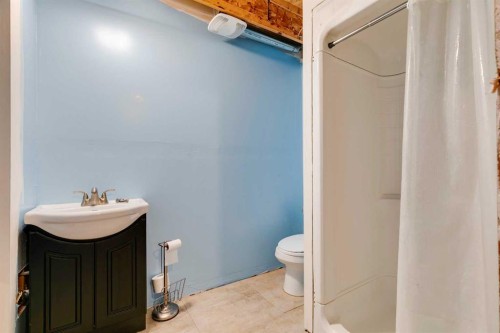 206 Elgin Place Se, Calgary, AB - Indoor Photo Showing Bathroom