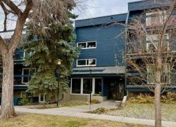 203-234 5 Avenue NE Calgary, AB T2E 0K6